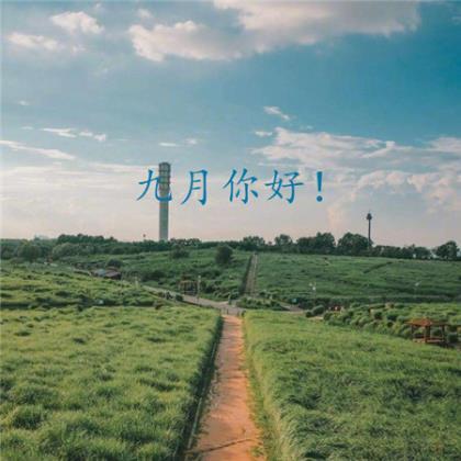 微信朋友圈晚安语录