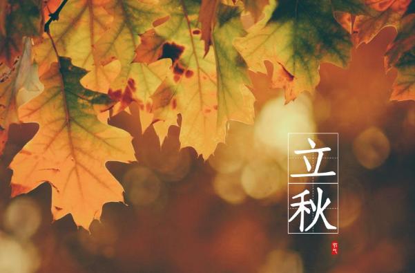 立秋发的说说
