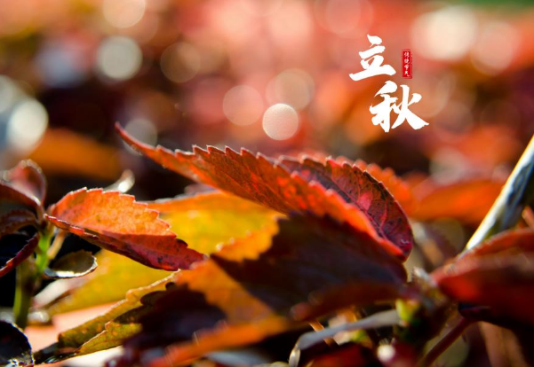 立秋发的说说