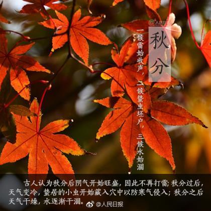 爱情名言名句优美句子 欠账不还的句子名言