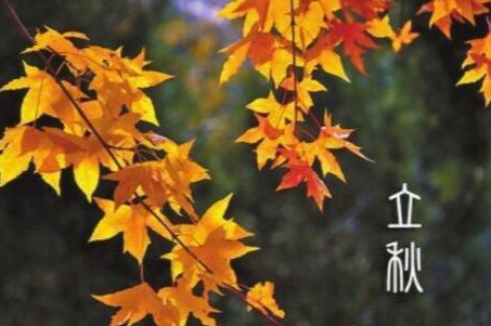 立秋发朋友圈的句子