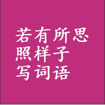 若有所思照样子写词语和成语