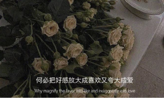 2021最新情感句子心情语录 情感语录经典短句
