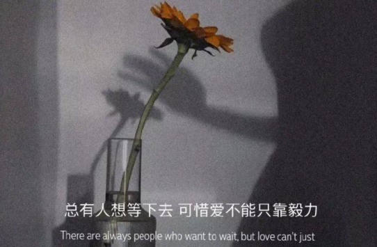 2021最新情感句子心情语录 情感语录经典短句