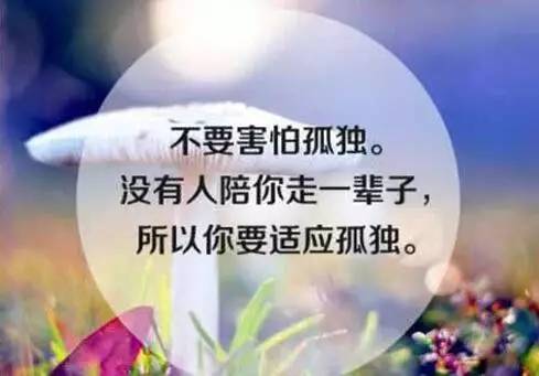 女生励志句子唯美简短