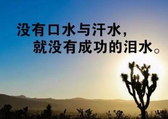 女生励志句子唯美简短