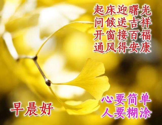 微信每天一句简单的问候语