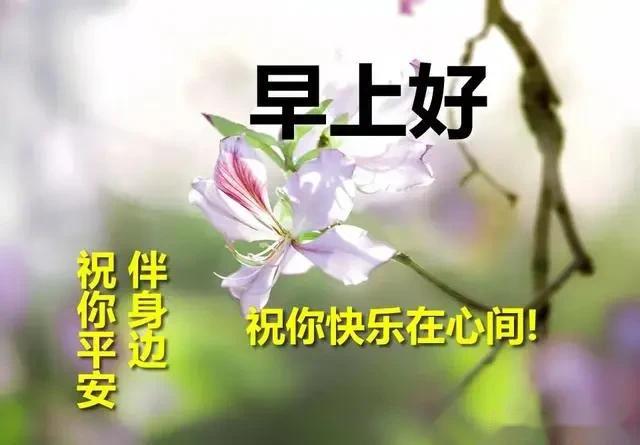 微信每天一句简单的问候语