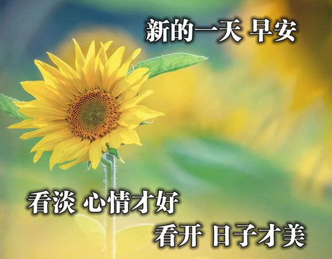 微信每天一句简单的问候语