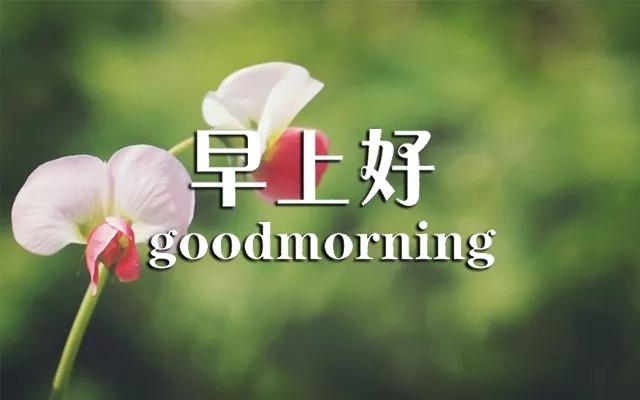 2021微信早安问候语