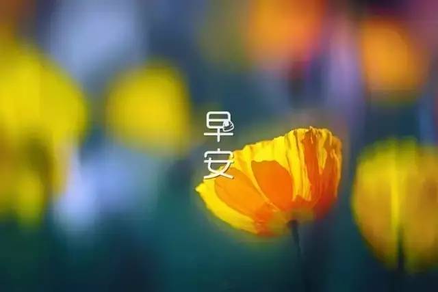 每日微信早安问候语经典