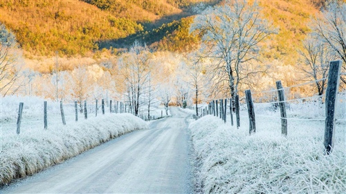 雪天励志短句 下雪天励志人的感慨(53句)