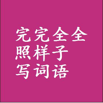 完完全全照样子写词语