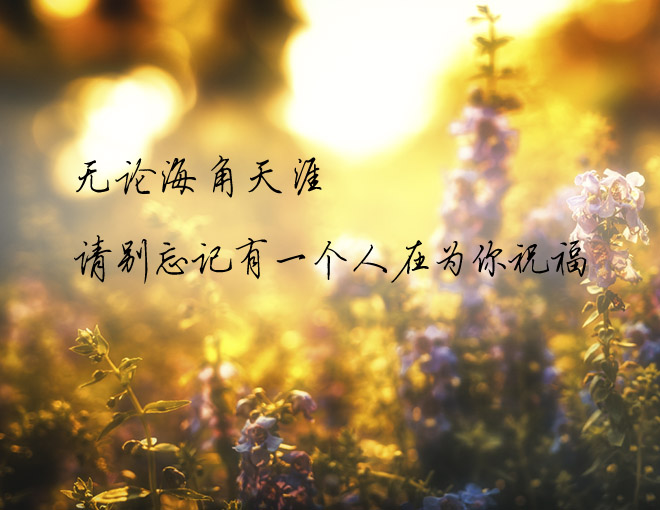各自安好不再打扰说说