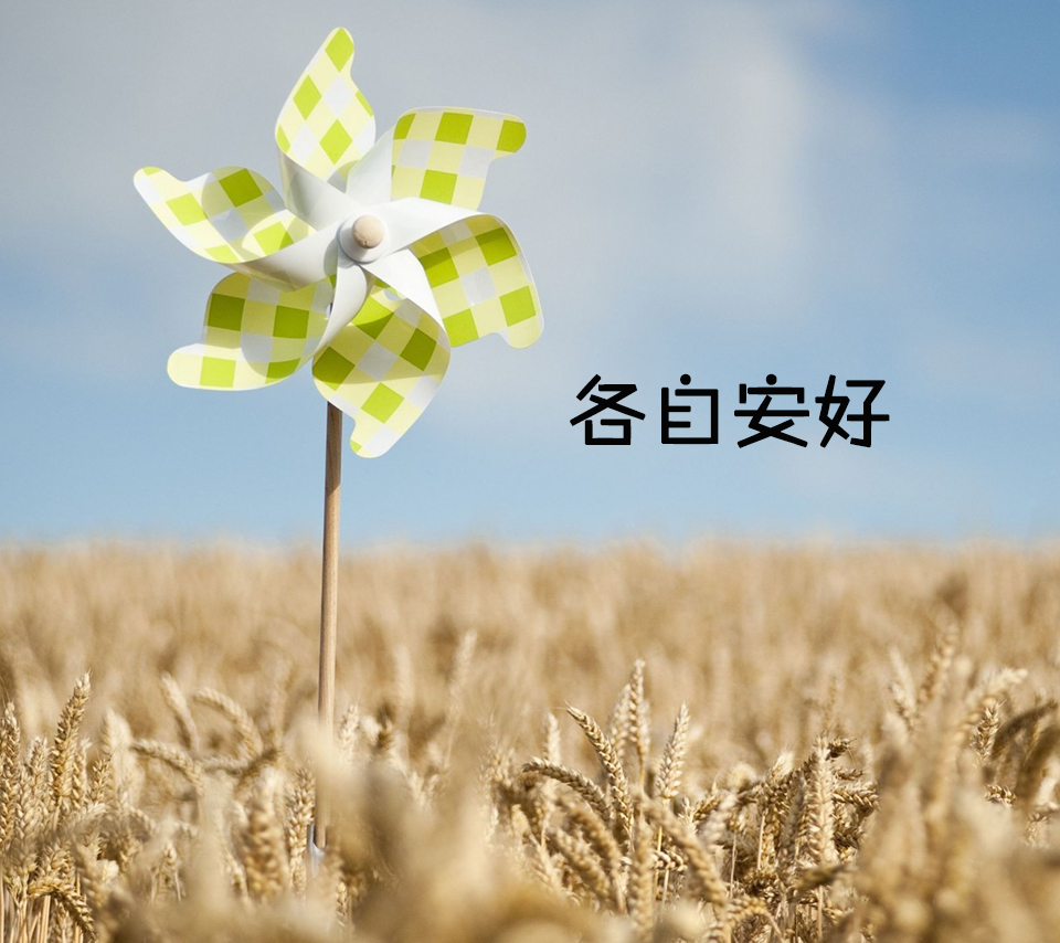 各自安好不再打扰说说