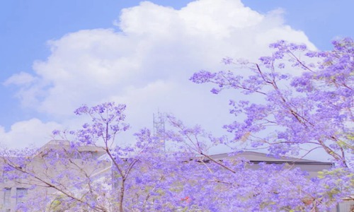 高情商的暖心句子 发朋友圈句句深入人心！