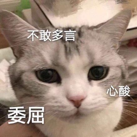 无法诉说的委屈的句子 发朋友圈句句刺心