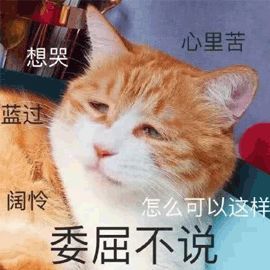 无法诉说的委屈的句子 发朋友圈句句刺心
