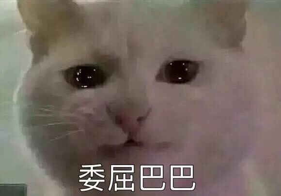 无法诉说的委屈的句子 发朋友圈句句刺心