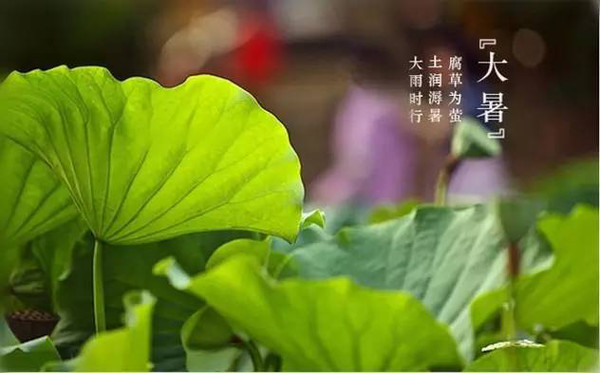2021大暑节气的祝福语 大暑节气的问候祝福语