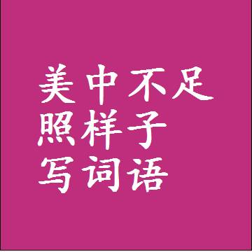 美中不足照样子写词语，结构一样的成语