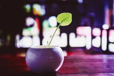 生活温暖如意的幸福句子，关于日子过的顺心的开心说说