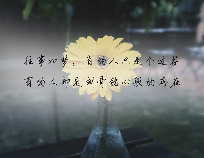抖音扎心句子情感语录