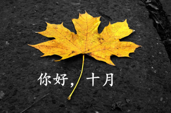 金秋十月的优美句子
