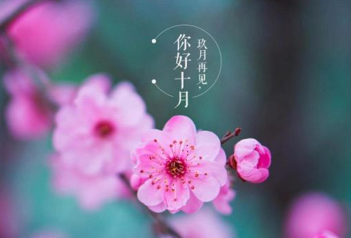 九月再见十月你好语录