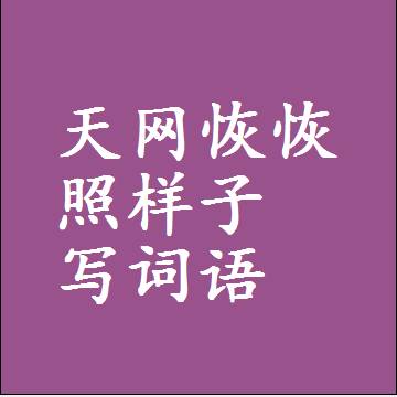天网恢恢照样子写词语