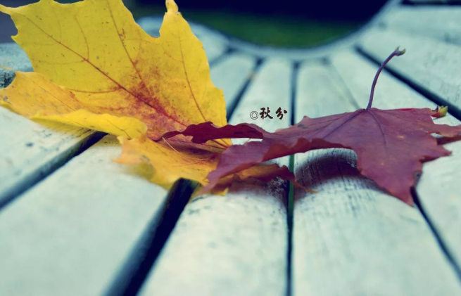 秋分说说图片带字