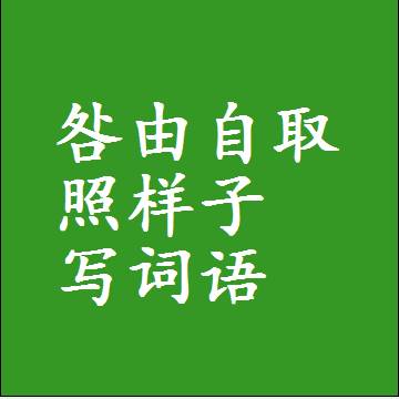 咎由自取照样子写词语