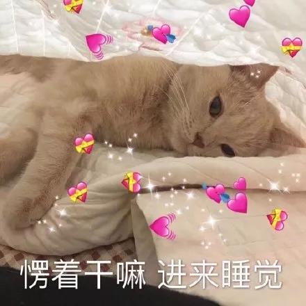 含蓄版虎狼之词文案