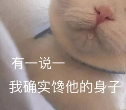 含蓄版虎狼之词文案