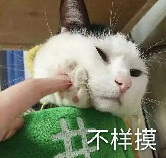含蓄版虎狼之词文案