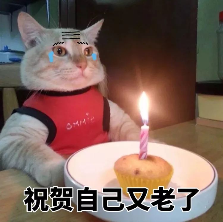 低调的生日朋友圈怎么发合适 写给自己的生日快乐说说文案