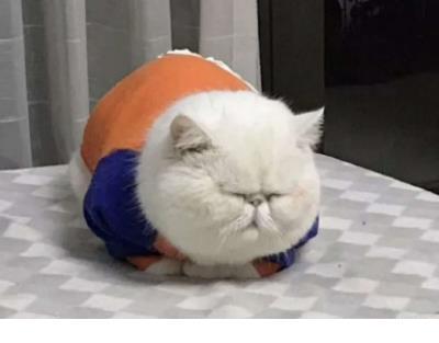 励志人生哲理的句子 四字励志哲理网名