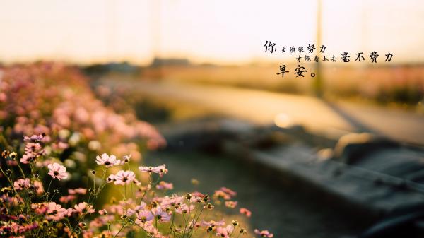 成熟的高冷心酸句，伤感入体