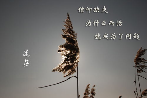 关于信仰的名人名言