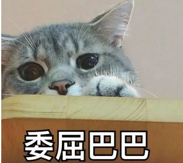 关于2021自己委屈到极致的朋友圈说说
