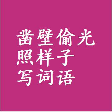 凿壁偷光照样子写词语，结构一样的成语