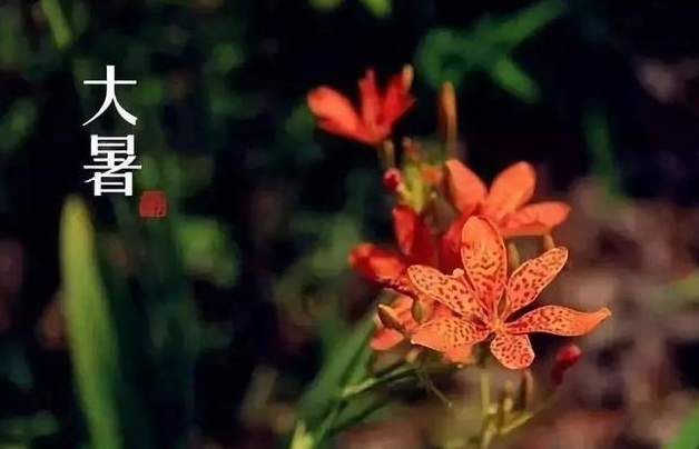 大暑节气文案