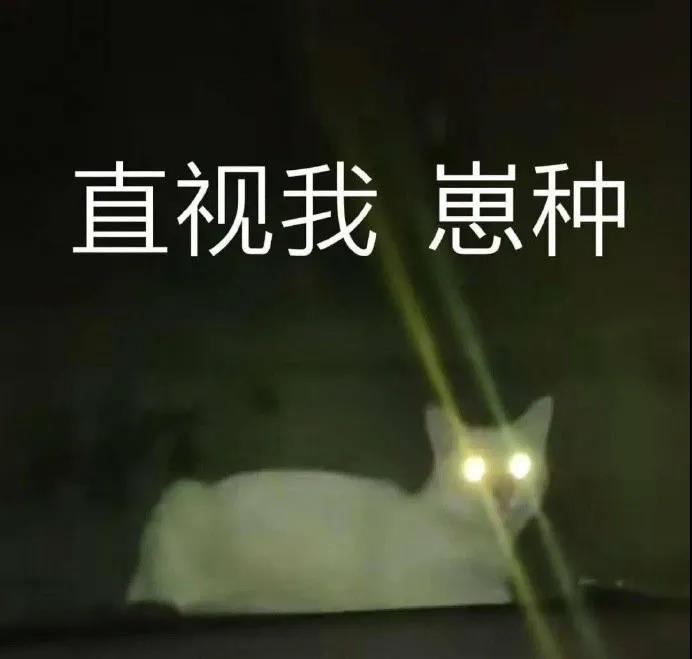 Ma人的最高境界的句子