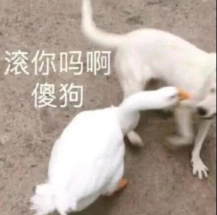 Ma人的最高境界的句子
