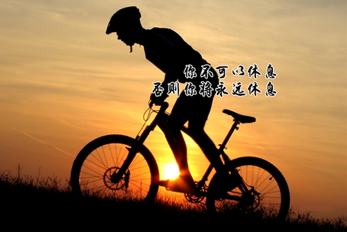 经历过风雨励志的句子(46句)