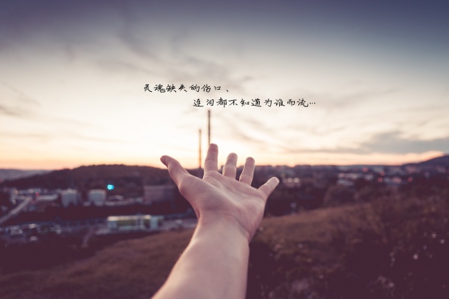 抖音里走心的网红句子