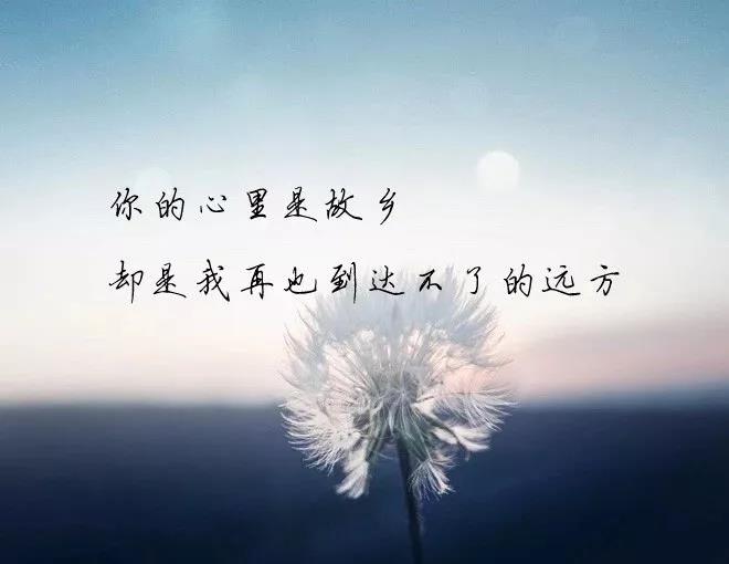 扎心又现实能引起共鸣的句子