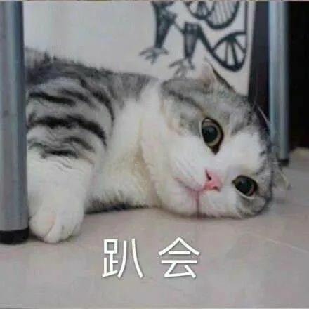 超级沙雕可爱的文案