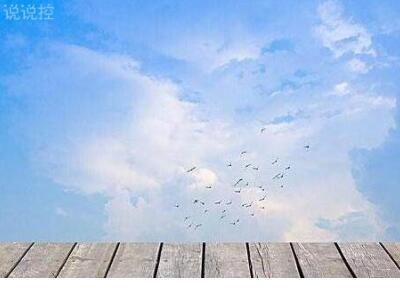 早上励志正能量语录 抖音最火语录励志余生