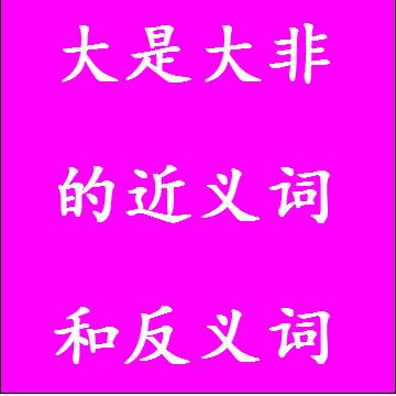 大是大非的近义词和反义词成语